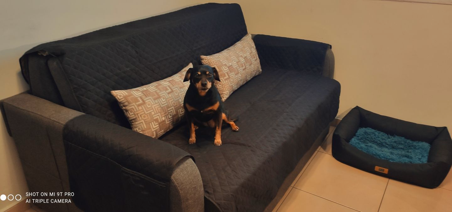 NEW Upgraded CouchTops™ Couch Cover with Side Pockets, Back Straps, Anti-Slip Fit, Reversible 2-in-1 Colors, Soft Padded Lining, Machine-Washable & Dryer-Safe Furniture Protector