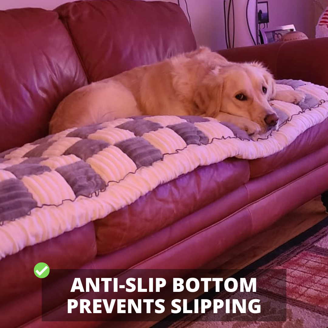 NEW 2-in-1 Furniture Protector & Bed Couch Cover with Thick Orthopedic Padding, Non-Slip Grip, Scratch-Resistant Surface & Machine-Washable Fabric