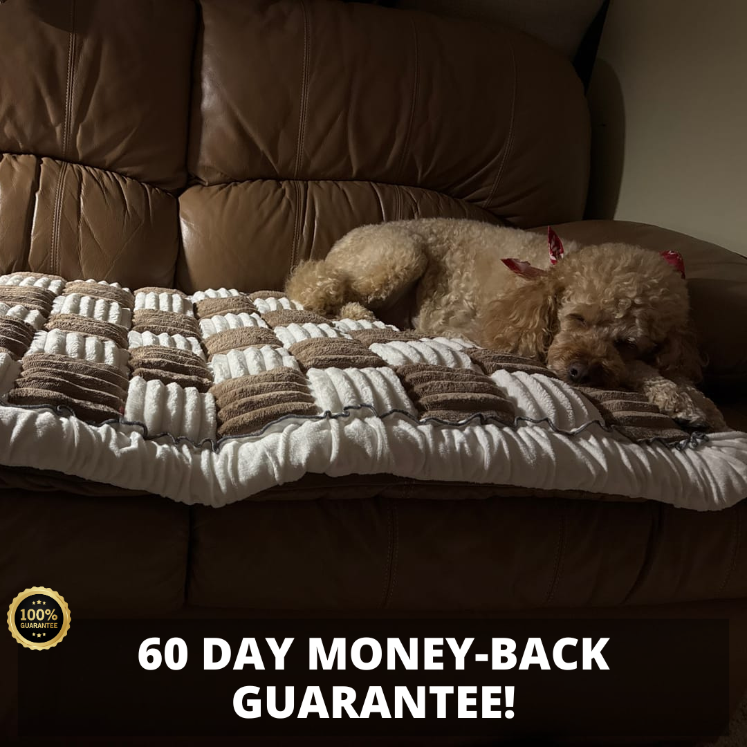NEW 2-in-1 Furniture Protector & Bed Couch Cover with Thick Orthopedic Padding, Non-Slip Grip, Scratch-Resistant Surface & Machine-Washable Fabric