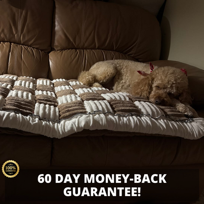 NEW 2-in-1 Furniture Protector & Bed Couch Cover with Thick Orthopedic Padding, Non-Slip Grip, Scratch-Resistant Surface & Machine-Washable Fabric